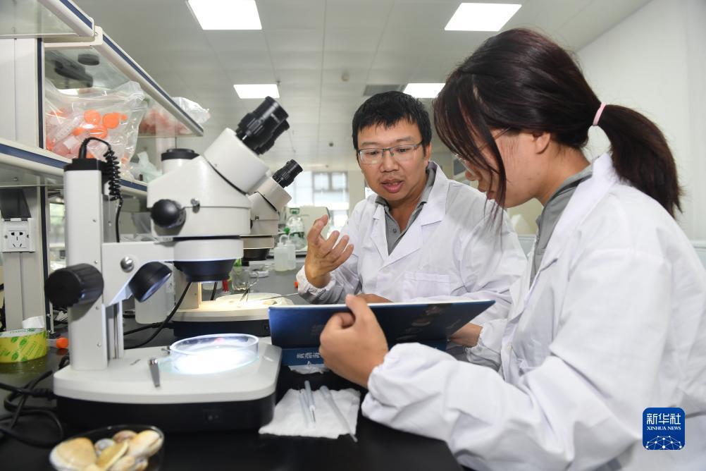 网上飞禽走兽数学打法
